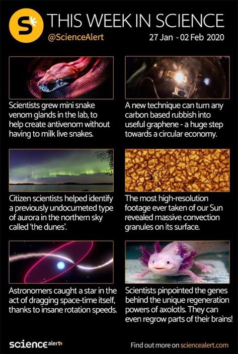 Earth Black And White, Science Facts Mind Blown, Cool Science Facts, Space Facts, Creepy Facts, Scientific Discovery, Unbelievable Facts, Science News, Science Facts