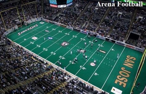 Arena Football, Arena Football rules, Arena Football games, Arena Football history Arena Football, Pro Football Teams, Chess Boxing, American Football League, Stadium Design, Acrobatic Gymnastics, Football Hall Of Fame, Air Hockey, Football Teams