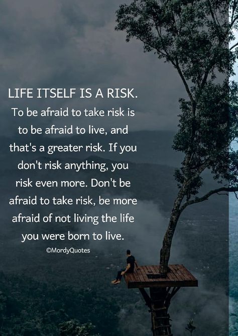 Life Risks Quotes, Quotes About Courage Take Risks, Life Is About Taking Risks Quotes, Take A Risk Quotes, Risk Taker Quotes, Take The Risk Quotes, Take Risks Quotes, Quotes About Risk, Risks Quotes