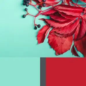 Mint And Red Color Palette, Teenager Games, Party Color Palette, Red Color Combo, Combo Outfits, Zyla Colors, Coffee Mood, Red Dining Room, Wedding Color Combos