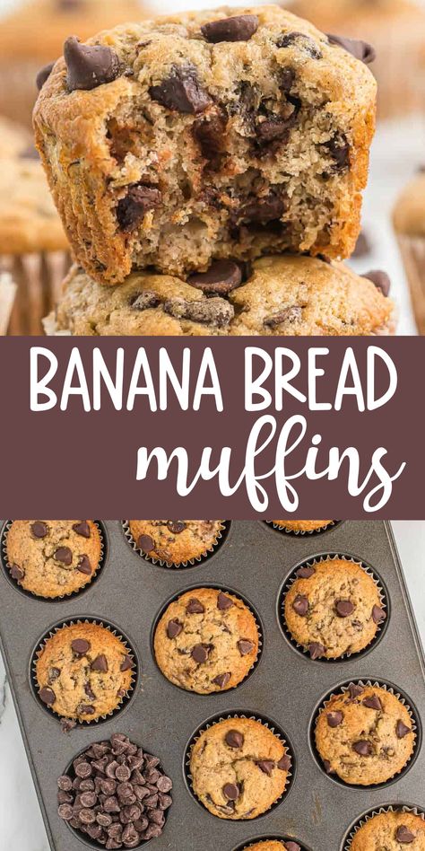 Banana Muffins 2 Bananas Easy, Easy Recipe With Bananas, Cho Chip Banana Muffins, Banana Bread Muffins Chocolate Chip, Banana Bread Recipe Muffins, Banana Muffins No Oil, Banana Chocolate Chip Muffins Easy, Banana Bread Chocolate Chip Muffins, Mini Banana Chocolate Chip Muffins