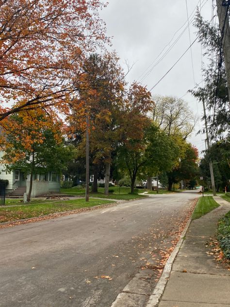 Beginning Of Fall Aesthetic, Neighborhood Walk Aesthetic, Aesthetic Neighborhood, Miranda Core, Nora Stephens, Neighborhood Aesthetic, Aesthetic Walk, Book Lovers By Emily Henry, Falls Aesthetic