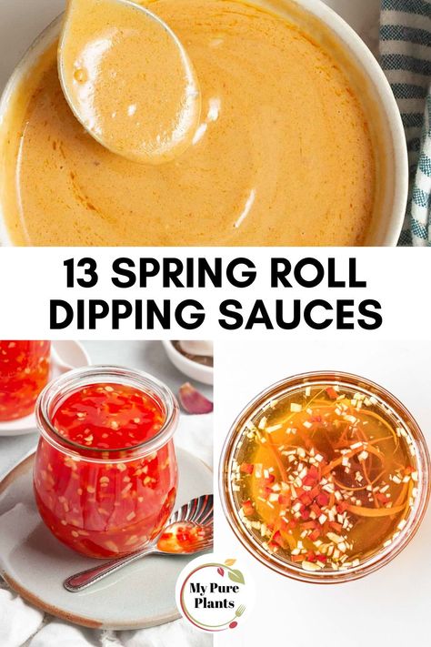 Healthy Egg Roll Sauce, Spring Roll Dumplings, Healthy Spring Roll Sauce, Spring Roll Dipping Sauce Recipe, Summer Rolls Sauce Recipe, Spring Roll Dipping Sauce Gluten Free, Fresh Spring Rolls Sauce, Different Spring Roll Recipes, Chinese Dipping Sauce Egg Rolls