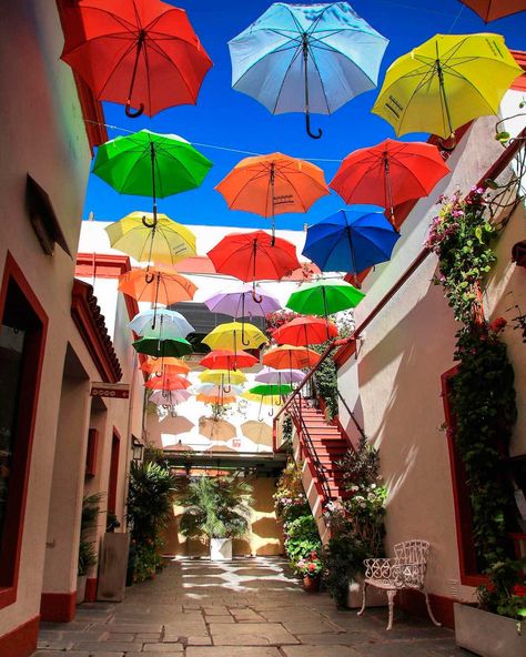 Galería Solar de French, un paseo de compras en San Telmo Ateneo Grand Splendid, South America, Patagonia, Solar