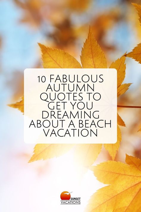 Dive into the romance of autumn with 10 captivating quotes! Envision crisp fall mornings by the sea as you read. Come read our blog! Mesmerizing Quotes, Captivating Quotes, Sea Quotes, Fall Quotes, Fall Beach, Walking On The Beach, Fall Vacations, Changing Leaves, Quiet Beach