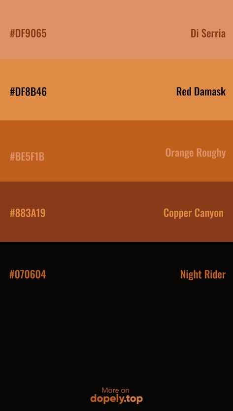 Color Palette inspiration with these hex codes: #DF9065 #DF8B46 #BE5F1B #883A19 #070604 #dopely #colorpalette October Hex Codes, Spooky Color Palette Hex Codes, Night Life Color Palette, Color Palette Mushroom, Color Scheme With Hex Code, Dark Eclectic Color Palette, Calico Color Palette, Black Brown Yellow Color Palette, Brown Color Palette Code