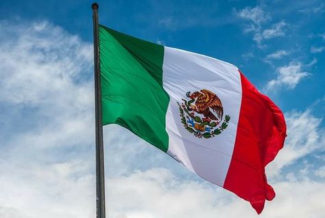 Mexico Colors, Flag Template, Mexico Culture, Mexican Flag, Mexican Flags, Mexico Flag, Mexican Culture, Wedding Destination, Cabo San Lucas