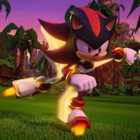 Dark Tide, Sonic Unleashed, Sonic Prime, Sonic Heroes, Sonic Fan Characters, Blue Hedgehog, Sonic 3, Sonic Franchise, Shadow Photos