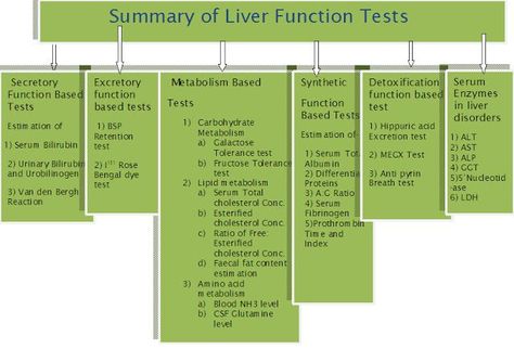 Liver function test Gastrointestinal Nursing, Kaplan Nursing, Liver Function Test, Healthcare Infographics, Nursing 101, Basic Anatomy And Physiology, Nursing Mnemonics, Family Nurse Practitioner, Pa School