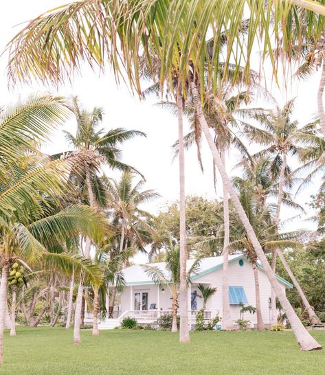 Followed the palms to unlock the Keys. Welcome to the Moorings. #thestylebungalow #tsbtravels #beautifuldestinations The Style Bungalow, Islamorada Florida, Style Bungalow, Full Moon Party, Pink Lifestyle, Beach Yoga, The Palms, Conde Nast, Colonial House