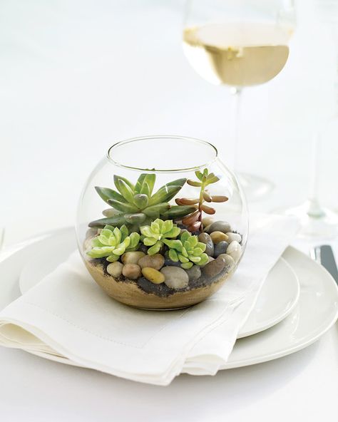 These mini terrariums make chic table decor when grouped en masse -- and they double as favors, too! Just place sand and rocks in the bottom of a fishbowl votive holder. Green Wedding Centerpieces, Terrarium Centerpiece, Cactus Terrarium, Beautiful Terrariums, Mini Terrarium, Succulent Centerpieces, Decoration Plante, Indoor Gardens, Terrarium Diy