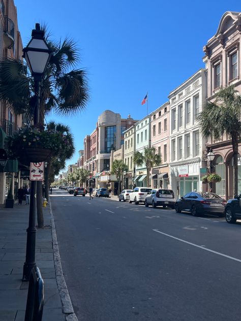 #collegeofcharleston#cofc#charleston#charlestonsc#southcarolina#kingstreet#rainbowrow#thebattery#cistern#cisternyard#sotillehouse#sotilletheater#beach#beachtownaesthetic#charlestonaesthetic#college#collegeaesthetic#spanishmoss#oaktrees#angeloak#liberalartscollege#collegecampus#randolphhall#thenotebook#porterslodge#collegelife#collegeofcharlestonaesthetic#oldmoneyaesthetic#coastalgranddaughteraesthetic#cougars#historical Collage Of Charleston, Charleston South Carolina Aesthetic, Charleston Aesthetic, Charleston Summer, Charleston Trip, Summer Senior Pictures, College Of Charleston, Charleston Travel, Coastal Aesthetic