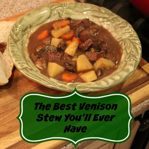 Deer Stew, How To Cook Venison, Elk Recipes, Venison Backstrap, Zinfandel Wine, Venison Stew, Deer Recipes, Deer Meat Recipes, Deer Meat