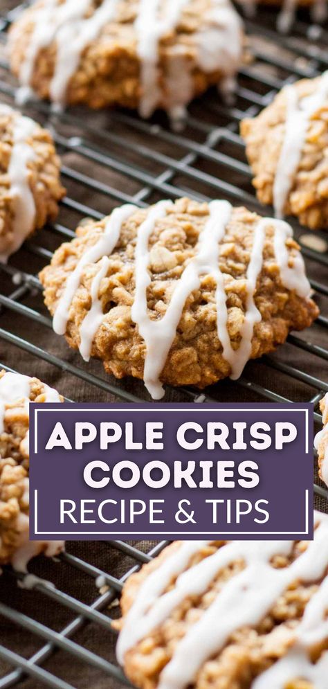 Cinnamon Apple Oatmeal Cookies, Fresh Apple Cookies Recipes, Apple Oatmeal Cookies Recipes, Oatmeal Cookie Recipes Easy Simple, Apple Crisp Cookies Recipe, Recipes Made With Applesauce, Apple Pie Snickerdoodle Cookie, Small Batch Oatmeal Raisin Cookies, Apple Sauce Cookies Recipe