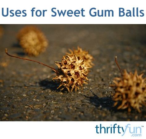 Crafts Using Sweet Gum Balls, Sweet Gum Tree Ball Crafts, Sweet Gum Ball Crafts Diy, Sweet Gum Crafts, Sweet Gum Balls Witchcraft, Sweet Gum Balls Crafts, Gums Receding, Sweet Gum Tree Crafts, Pinecones Crafts