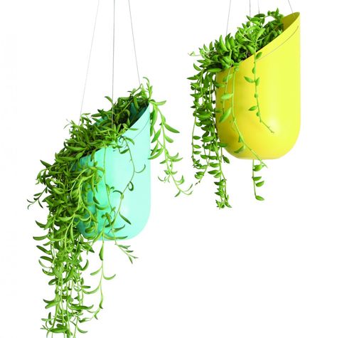 Hanging Planter, $74.00 Pot Gantung, Plastic Bottle Planter, Taman Diy, Diy Hanging Planter, Tanaman Pot, Jardim Diy, Hanging Planters Indoor, Plastic Bottle Crafts, Soda Bottles