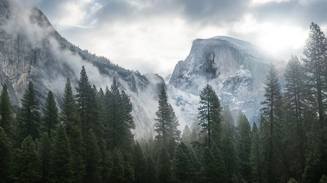 Yosemite Wallpaper, Macbook Air Wallpaper, Forest Mural, Wallpaper Macbook, Foggy Mountains, Park Forest, Forest Wall Mural, Foggy Forest, Mountain Wallpaper