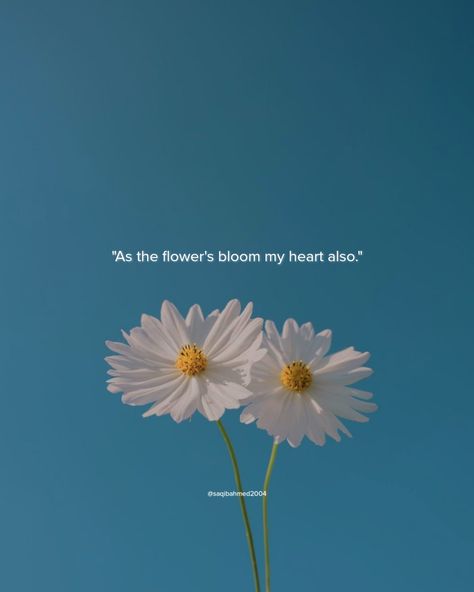 Quote Quotes About Flowers Blooming Life, Flowers From Him Quotes, Love Quotes With Flowers, Love Flowers Romantic Quotes, He Brought Me Flowers, Give Her Flowers Quotes, Flower Aesthetic Quotes Short, Flowers And Love Quotes, Bloom Quotes Aesthetic