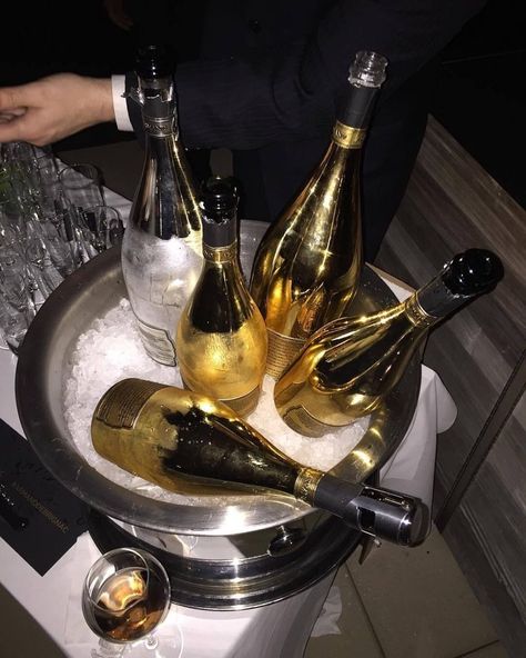 Mens Luxury Lifestyle, Alcohol Aesthetic, Rich Family, Nye Party, Expensive Taste, Gold Aesthetic, Rich Lifestyle, Luxury Lifestyle Dreams, Luxury Aesthetic