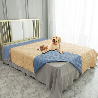 Guaranteed!This premium protector prevents almost all types of moisture and liquids from leaking through. Perfect for those with dogs and cats! Colour: Sand/Stoneblue, Dog Size: Large  (82" W x 0.1" D x 68" H) Waterproof Furniture, Waterproof Dog Bed, Sofa And Bed, Waterproof Blanket, Covered Dog Bed, Dog Bed Furniture, Microfiber Blanket, Bed Couch, Pet Blanket