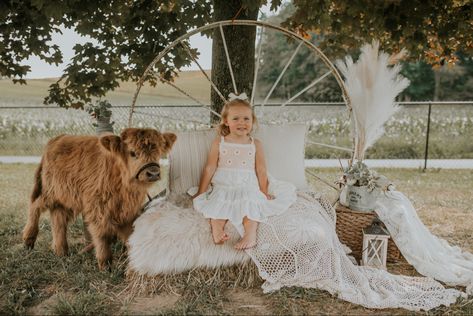 Pig Photography, Instagram Photo Prop, Farm Family Pictures, Pig Photo, Mini Highland Cow, Highland Cow Pictures, Fall Photoshoot Family, Easter Mini Session, Cow Photography