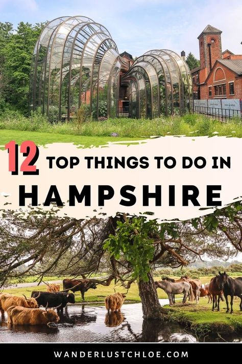 With buzzing cities, a sweeping coastline and serene countryside, there are plenty of great things to do in Hampshire. Find out about visiting the Bombay Sapphire gin distillery for a tour - one of the most popular things to do in Hampshire. Plus, if you love adventures, learn about where to go hiking, paddleboarding and more in this guide to one England's southern counties. #UKTravel #Hampshire #VisitEngland Bombay Sapphire Gin, London England Travel, Popular Things, Gin Distillery, Hampshire England, Bombay Sapphire, Hampshire Uk, Visiting England, Go Hiking