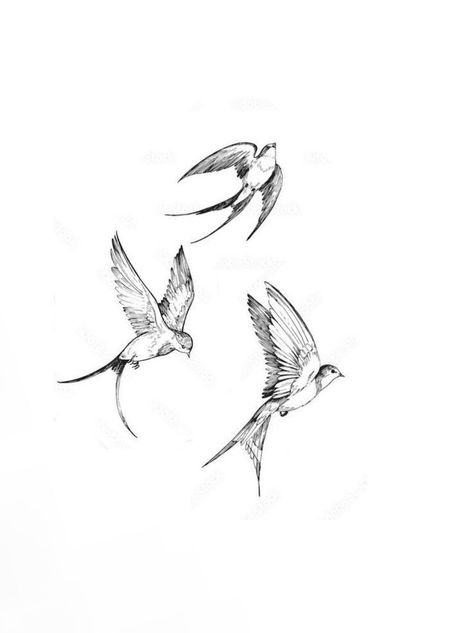 Bird Line Tattoo, Cyberciligism Tattoo, Mockingbird Tattoo, Ephemeral Tattoo, Swallow Bird Tattoos, Little Bird Tattoos, Bird Tattoos For Women, Vogel Tattoo, Sparrow Tattoo