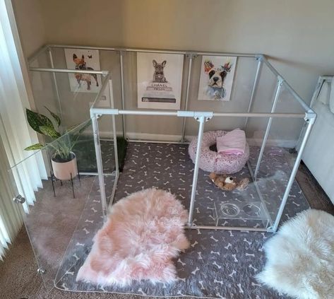 Dog Fence Ideas Indoor, Dog Cage Inside House, Pink Dog Room Ideas, Modern Dog Room, Bedroom With Dog Area, Dog Indoor Area, Cute Puppy Set Ups, Doggie Room Ideas Bedrooms, Puppy Bed Aesthetic