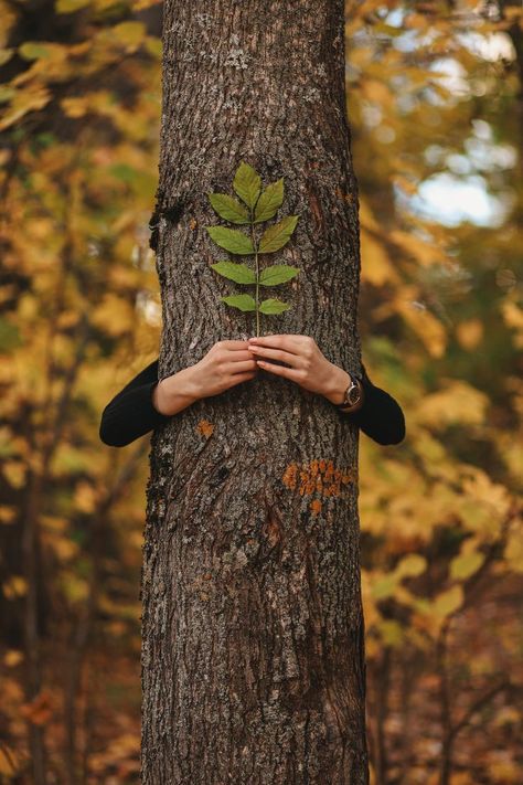 Autumn Photography Portrait, Fairytale Photoshoot, Moonlight Photography, Autumn Instagram, Morning Coffee Images, Beautiful Profile Pictures, Film Photography Tips, Fairytale Photography, Creative Portrait Photography