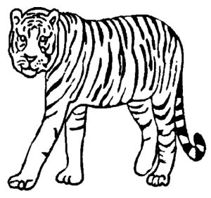 Download free printable Tiger coloring pages for preschool Tiger Outline, Tiger Coloring, Cute Tiger Cubs, Super Coloring Pages, Animal Outline, Tiger Drawing, Shark Coloring Pages, Animal Templates, Cartoon Tiger