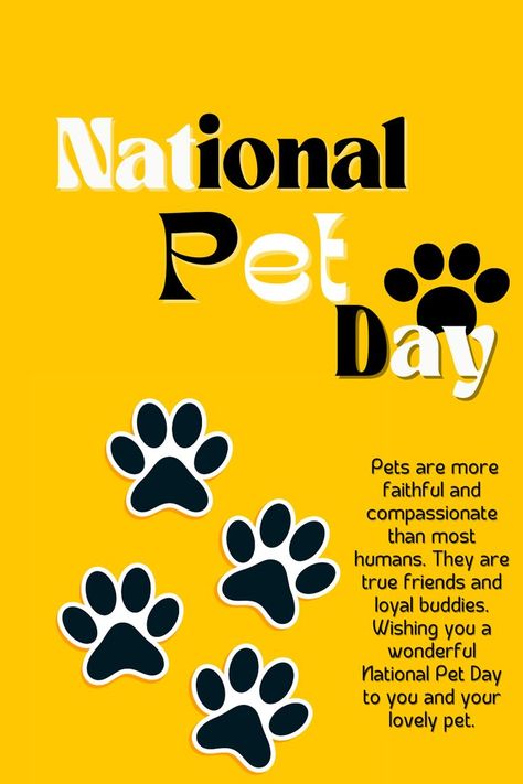 National Pet Day ! National Pet Day, Pet Day, Pet Life, Day Wishes, True Friends, Quote Of The Day, Pet Friendly, Animal Lover, Dog Lovers