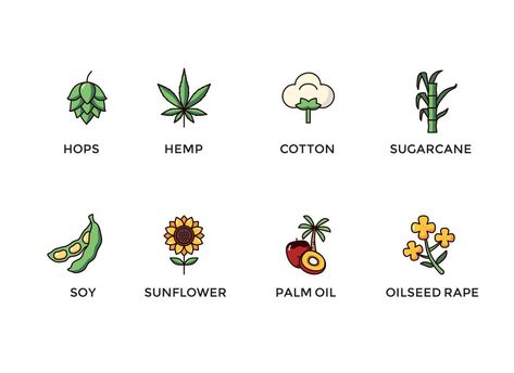 cash crops icon set collection Crops Drawing Easy, Cash Crops, Crop Pictures, Cash Crop, Icon Set, Easy Drawings, Vector Art, Vector Free, Royalty Free