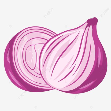 Red Onion Illustration, Onions Illustration, Onion Aesthetic, Cookbook Drawings, Onion Clipart, Onion Cartoon, Onion Illustration, Onion Drawing, Vector Vegetables