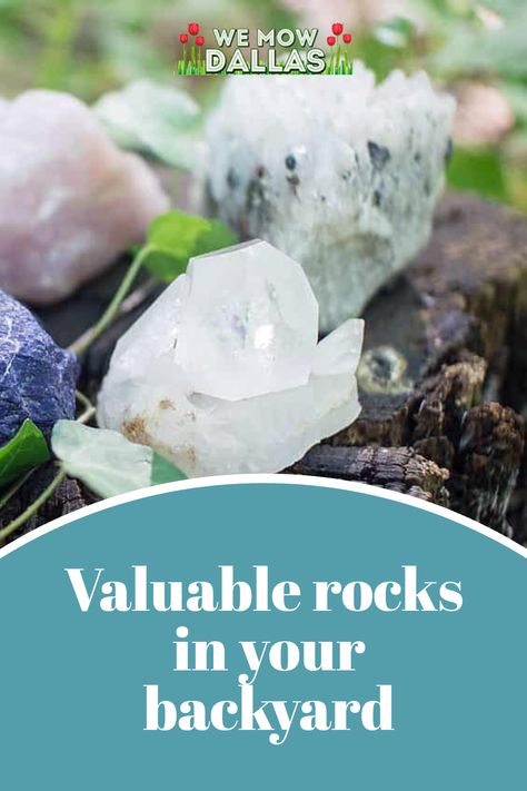 valuable rocks in your backyard Spring Lawn Care, Rock Sculpture, Backyard Diy, Lawn And Landscape, Types Of Crystals, Types Of Soil, Diy Backyard, Lawn Care, Flower Beds