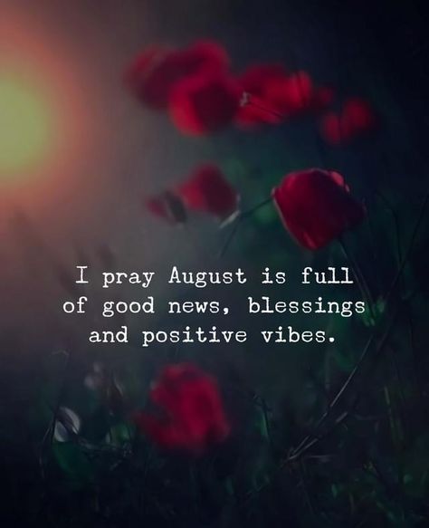 I pray August is full of good news, blessings and positive vibes. Good News Quotes, The Idealist Quotes, Trust Gods Timing, August Quotes, Hello August, Vibe Quote, Calm Quotes, Keep Calm Quotes, Blessed Quotes