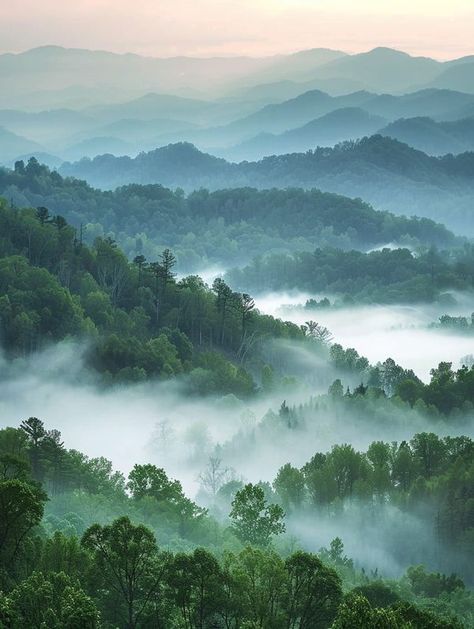 The Great Smoky Mountains, Great Smoky Mountains Aesthetic, Smokey Mountains Aesthetic, Gatlinburg Aesthetic, North Carolina Landscape, Tennessee Landscape, Smoky Mountains Photography, Smokie Mountains, Tennessee Mountains