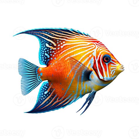 Tropical fish isolated on transparent background, created with generative AI Colorful Drawing Reference, Coral Reef Fish Photography, Colourful Fish Painting, Pretty Fish Ocean, Tropical Fish Illustration, Tropical Fish Painting, Beautiful Fish Photography, Sea Fish Drawing, Ocean Fish Drawing