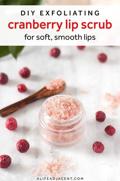 Exfoliate Lips, Cranberry Powder, Soap Business, Lip Scrub Recipe, Winter Lips, Holiday Lip, Lip Scrub Homemade, Natural Recipes, Lip Scrub Diy