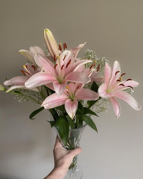 Buy Yourself Flowers, Pink Lilies, Beauty Day, Boquette Flowers, Nothing But Flowers, Flower Therapy, Beautiful Bouquet Of Flowers, Random Pictures, Pretty Plants