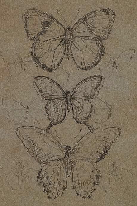 Famous Drawings Sketches, Dark Butterfly Drawing, Victorian Doodles, Butterfly Drawing Reference, Victorian Era Drawing, Dark Academia Sketchbook, Dark Academia Drawing Ideas, Dark Academia Drawings, Dark Academia Doodles