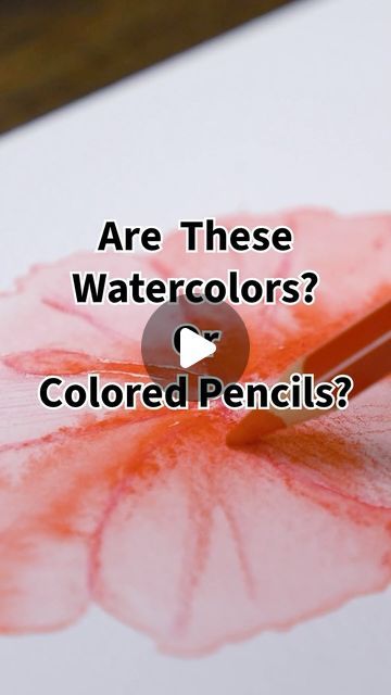 Blick Art Materials on Instagram: "💦 ✏️ Watercolor Pencils… are they watercolors or are they colored pencils? 🤔 Turns out they’re a little bit of both, creating their own expressive medium! See them in action with the Caran d’Ache Supracolor Soft Aquarelle Pencil Set.   These highly pigmented, water-soluble pencils lay down broad strokes, fine lines, and gradients that transform into lush watercolor washes with a wet brush 🖌️ Layer more pigment on wet and dry areas to achieve a wide range of effects. The possibilities are endless! ✨ Shop at the link in our bio!  _______________ #blickartmaterials #watercolorpencils #watercolors #coloredpencils  #ArtSupplies #CaranDAche @carandache #createwithblick" Water Colour Pencils Drawings, How To Use Watercolor Pencils, Watercolor Pencils Ideas, Wet On Wet Watercolor, Using Watercolor Pencils, Watercolor Pencils Techniques, Water Color Pencil, Water Brush, Colored Pencil Set