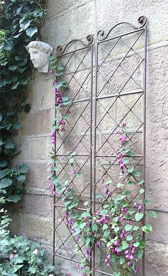 Leander Plant Supports Vine Trellis, Iron Trellis, Wall Trellis, Diy Garden Trellis, Metal Trellis, Climbing Flowers, Garden Obelisk, Garden Vines, Fleur Design