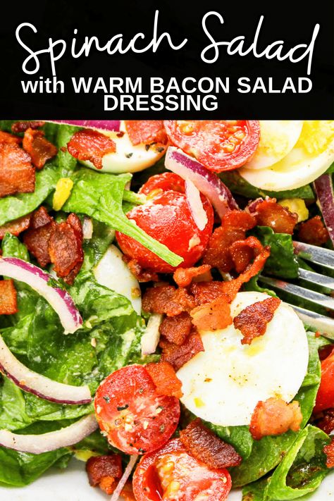 Spinach Salad with Warm Bacon Salad Dressing Bacon Salad Dressing, Wilted Spinach Salad, Spinach Salad Dressing, Healthy Dressing Recipes, Delicious Healthy Salads, Simple Spinach Salad, Healthy Lunch Salad, Parmesan Salad, Bacon Dressing