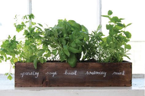 How To Grow a Windowsill Herb Garden Herb Kitchen, Windowsill Herb Garden, Window Herb Garden, Kebun Herbal, Herb Diy, Taman Diy, Herb Garden In Kitchen, Diy Herb Garden, Vertical Herb Garden