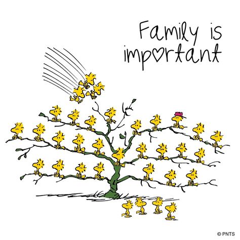 Snoopy Family, Peanuts Quotes, Woodstock Snoopy, Woodstock Peanuts, Snoopy Cartoon, Snoopy Funny, Snoopy Images, Peanuts Snoopy Woodstock, Peanuts Cartoon