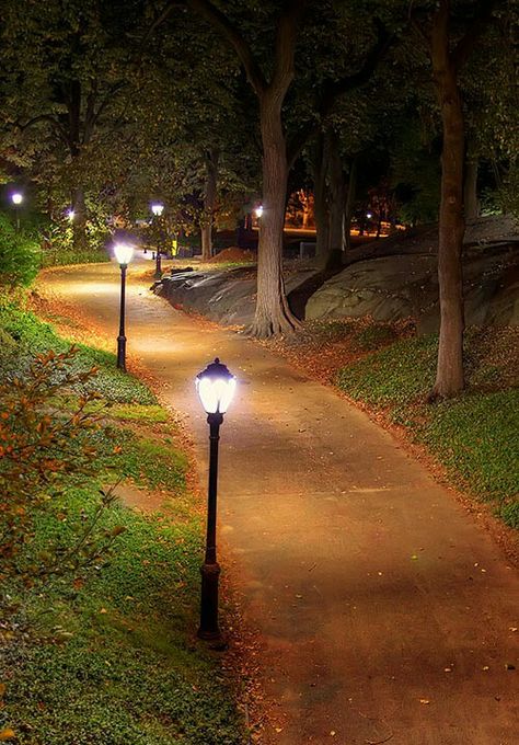 Central Park Central Park Manhattan, Central Park Nyc, Portrait Background, Movie Night Party, Walt Whitman, Upper West Side, Manhattan New York, Dream City, Autumn Beauty