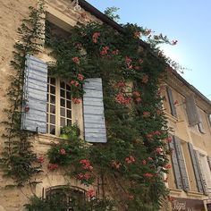 Romantic Academia Aesthetic, Light Acadamia, All The Bright Places, Academia Aesthetics, Blue Shutters, Romantic Academia, Light Academia Aesthetic, Different Aesthetics, Romantic Lighting