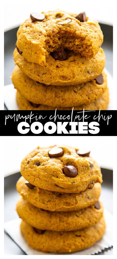 Pumpkin Chocolate Chip Cookies Chewy Cake, Soft Pumpkin Chocolate Chip Cookies, Chocolatechip Cookies, Pumpkin Dump, Chocolate Chip Cookies Ingredients, Pumpkin Spice Cookies, Pumpkin Chocolate Chip Cookies, Spice Cake Mix, Pumpkin Chocolate Chip