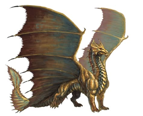 Azure's gold dragons are shaped more like the Brass dragon (from the D&D fifth edition Monster Manual). Brass Dragon, Bronze Dragon, Dnd Dragons, Dragon's Lair, Gold Dragon, Fantasy Monster, Dragon Artwork, Fantasy Dragon, Dragon Design