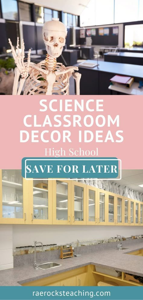 Decorate Science Classroom, Biology Classroom Decorations Ideas, Science Lab Setup, High School Science Room Decor Classroom Ideas, High School Science Room, Nursing Classroom Ideas, Middle School Science Room Decor Classroom Ideas, Elementary Science Classroom Setup, Decorating Science Classroom